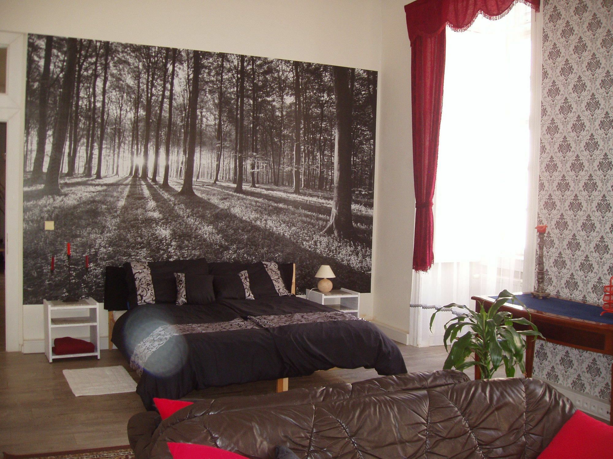 Apartament Decadent *